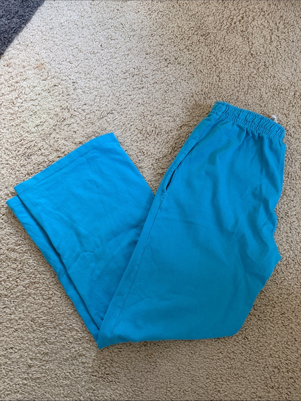 Brandy melville bright blue Anastasia sweatpants